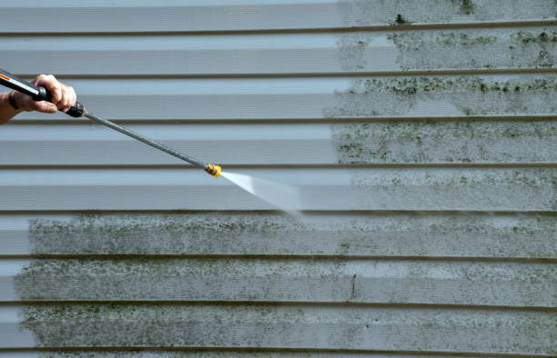 Best Water Damage Restoration  in Weyauwega, WI